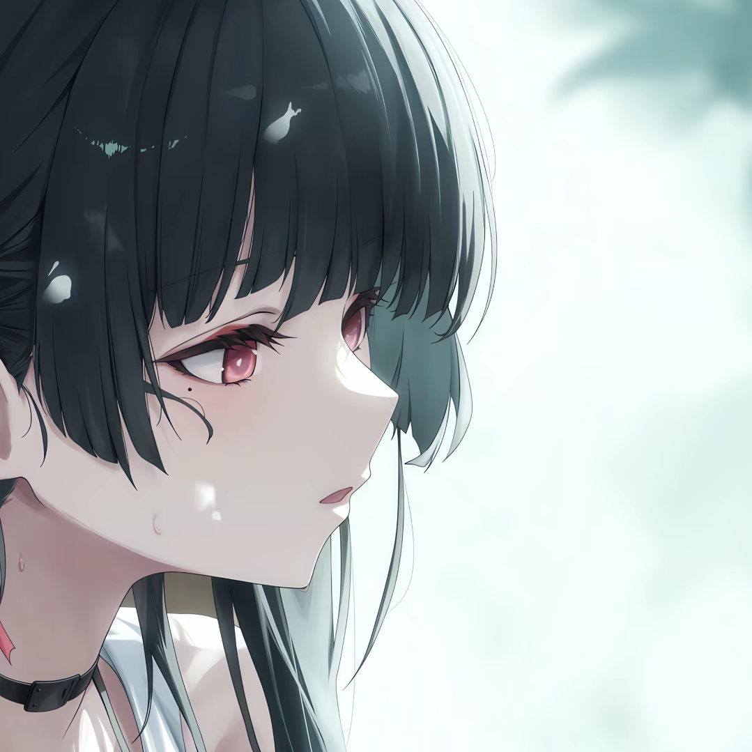 照片 012